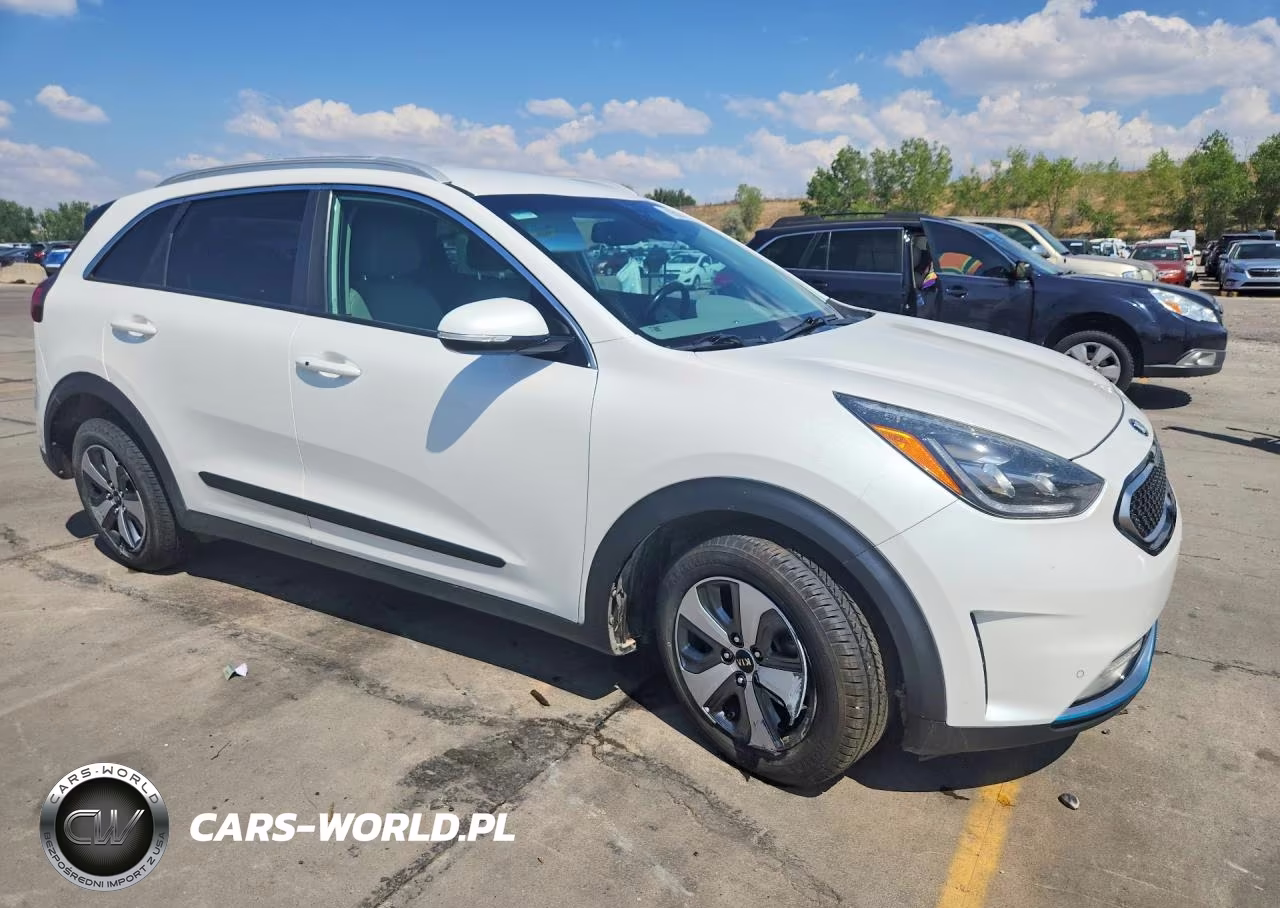 2019 Kia Niro Ex Premium VIN:KNDCC3LDXK5222149 - 4