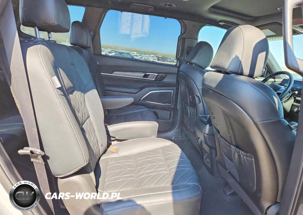 KIA TELLURIDE VIN:5XYP5DGC4RG479876 - 10