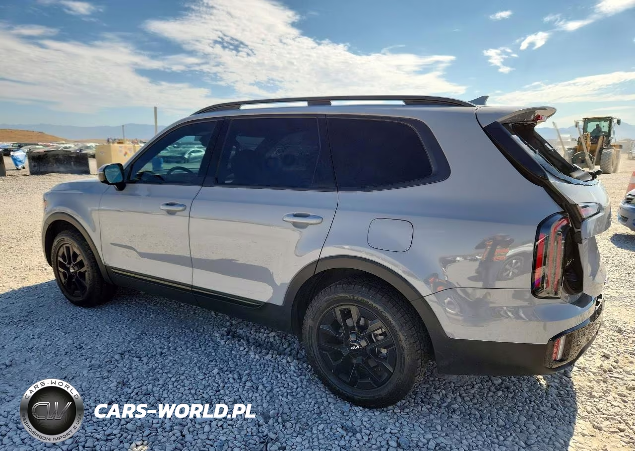 KIA TELLURIDE VIN:5XYP5DGC4RG479876 - 2