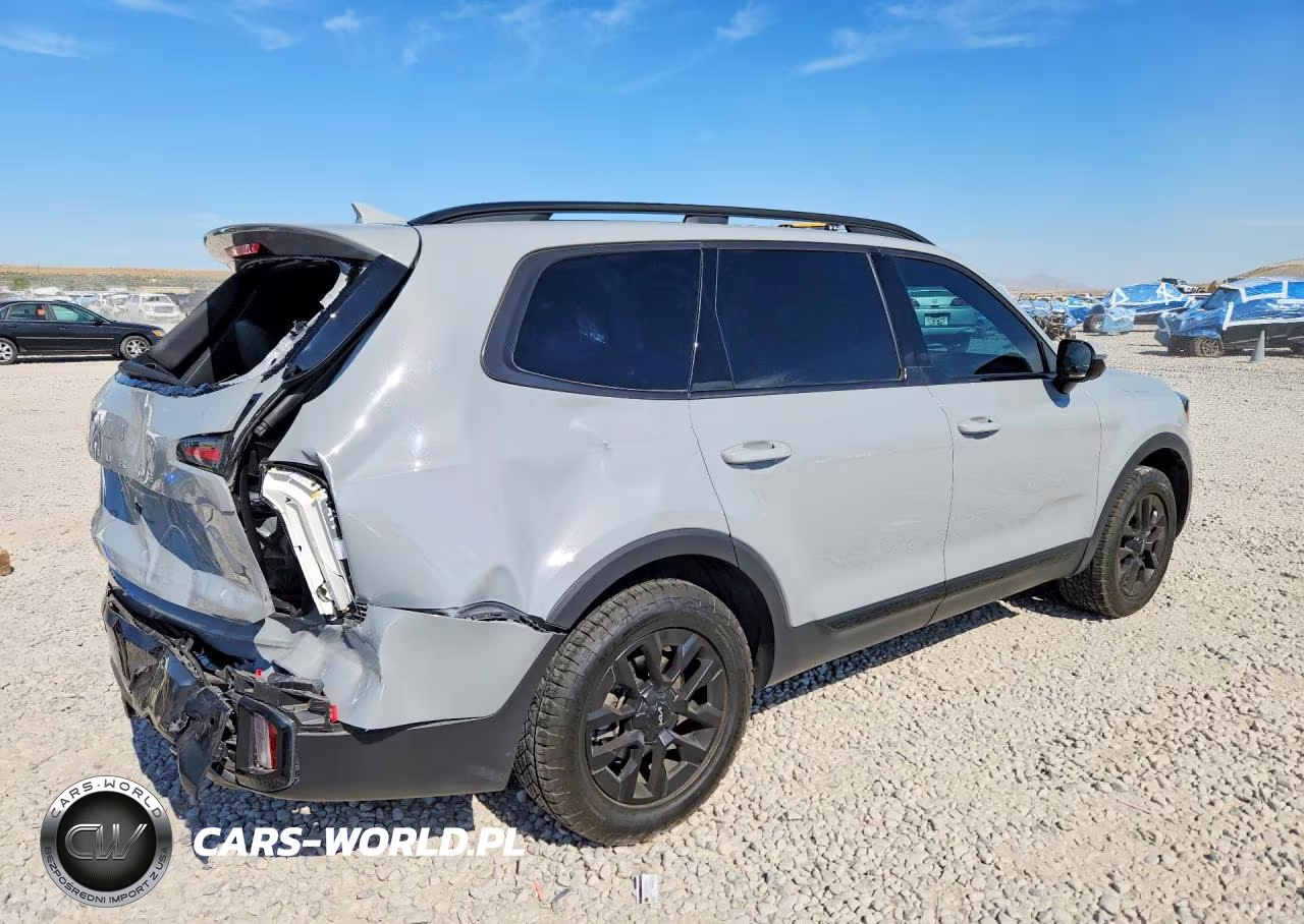 KIA TELLURIDE VIN:5XYP5DGC4RG479876 - 3
