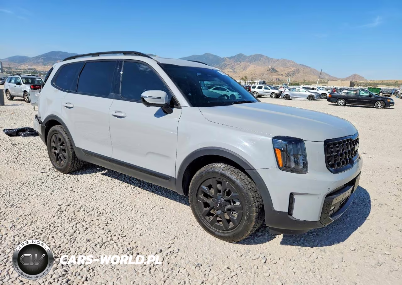 KIA TELLURIDE VIN:5XYP5DGC4RG479876 - 4