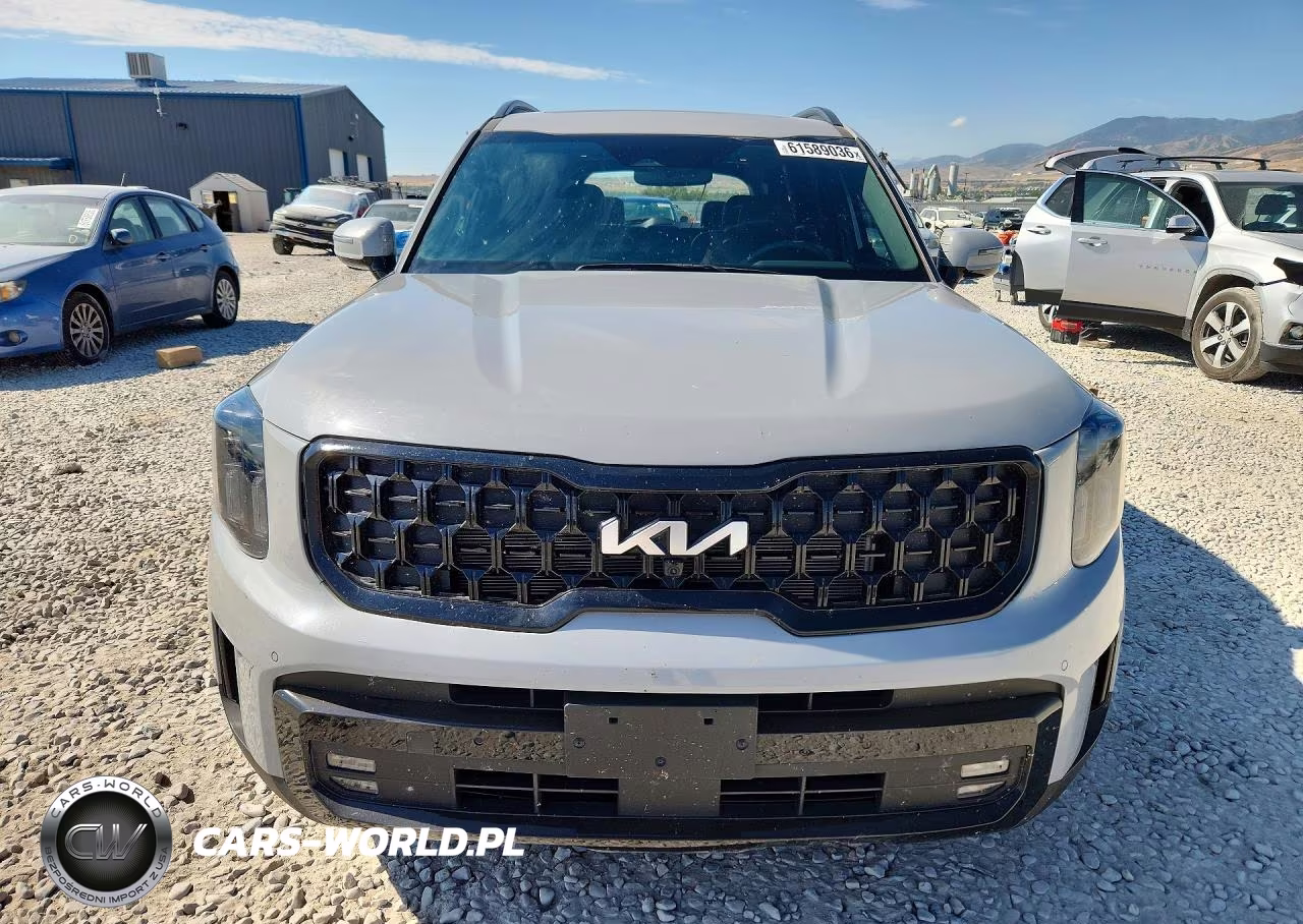 KIA TELLURIDE VIN:5XYP5DGC4RG479876 - 5