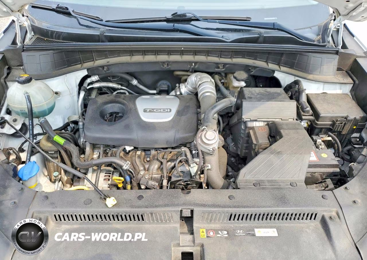 2018 Hyundai Tucson Value VIN:KM8J3CA22JU690692 - 12