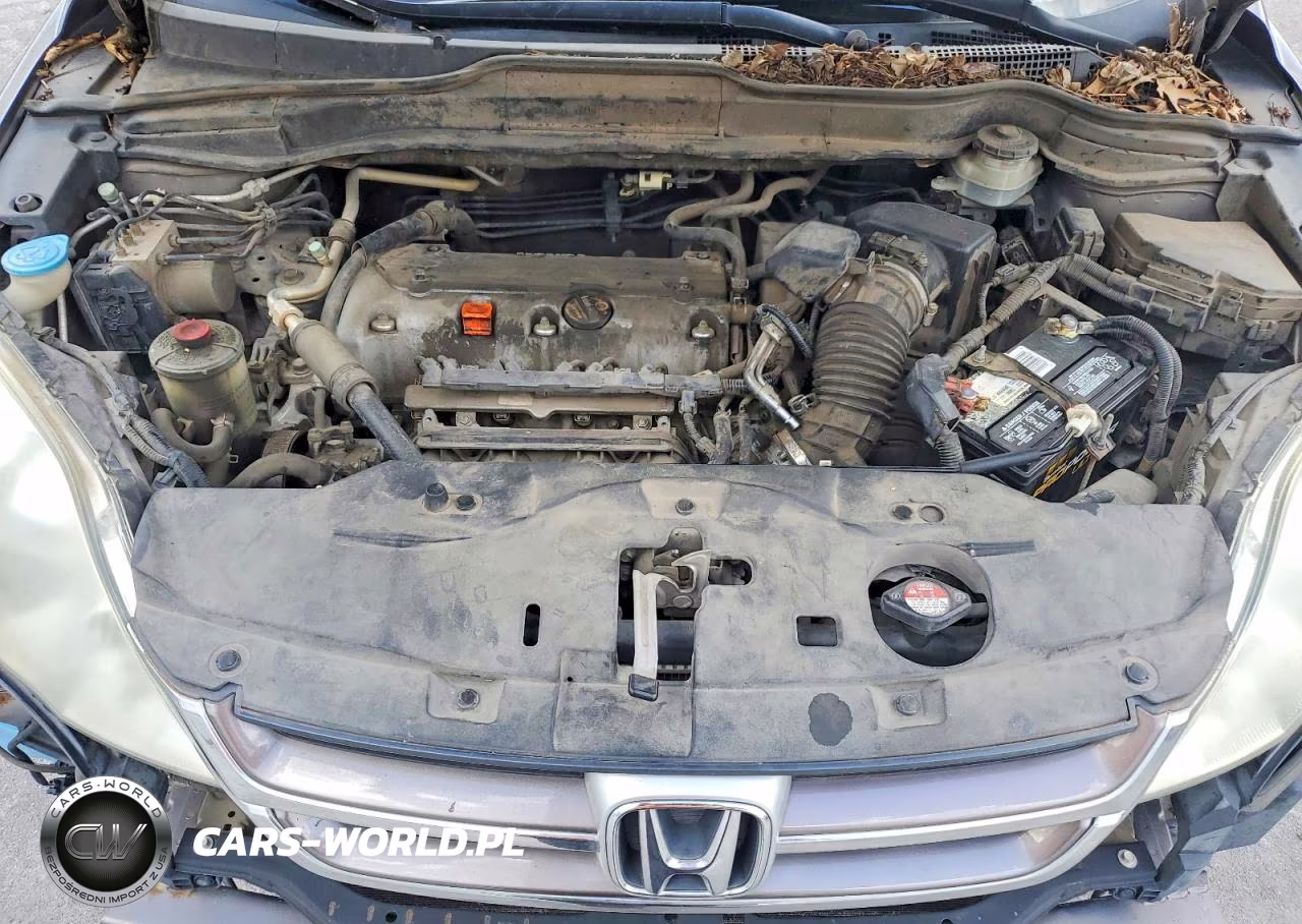 2010 Honda Cr-V Exl VIN:5J6RE3H74AL038191 - 11
