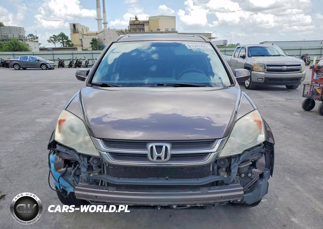 2010 Honda Cr-V Exl VIN:5J6RE3H74AL038191 - 5