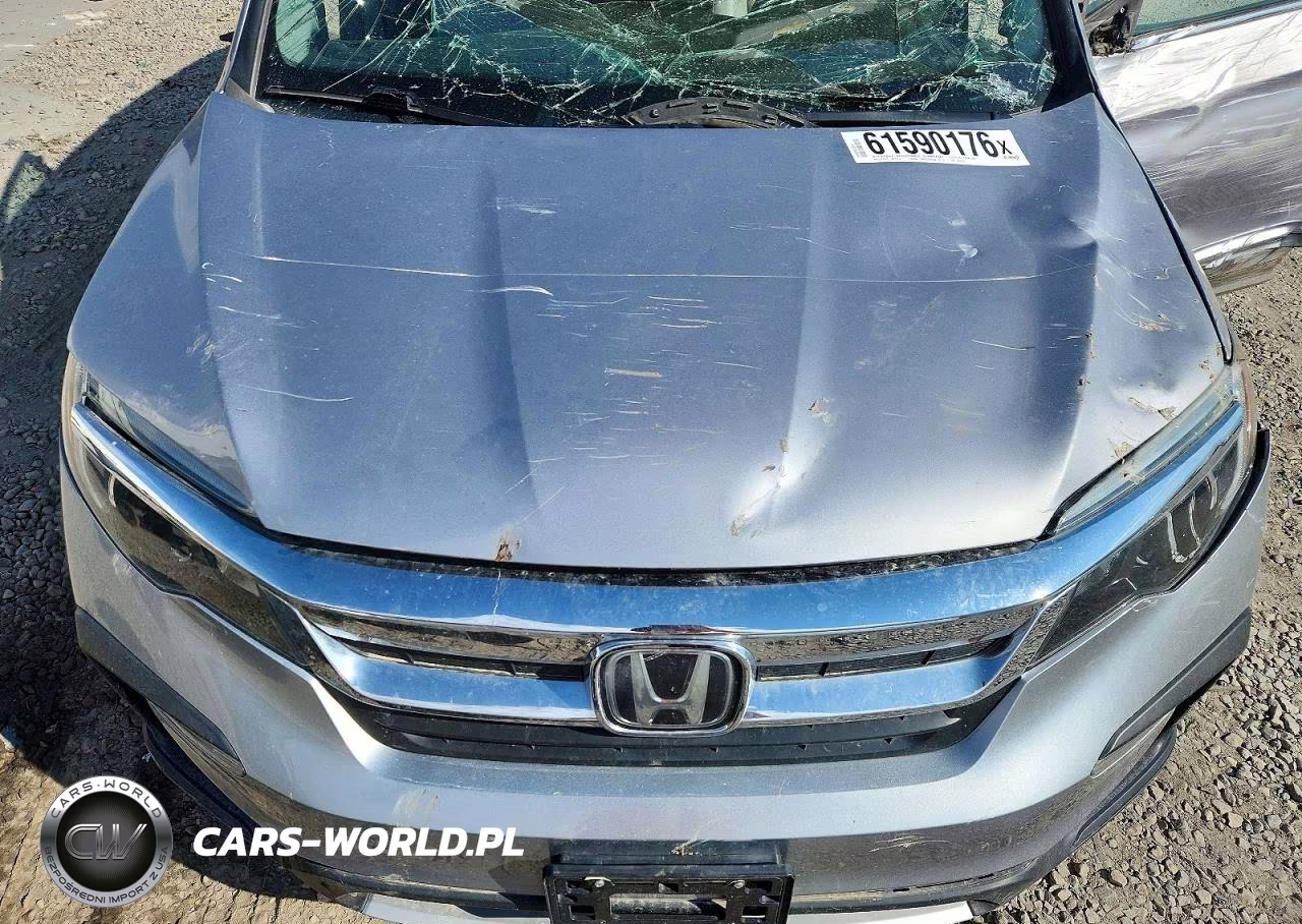 2019 Honda Pilot Exl VIN:5FNYF6H52KB039374 - 11
