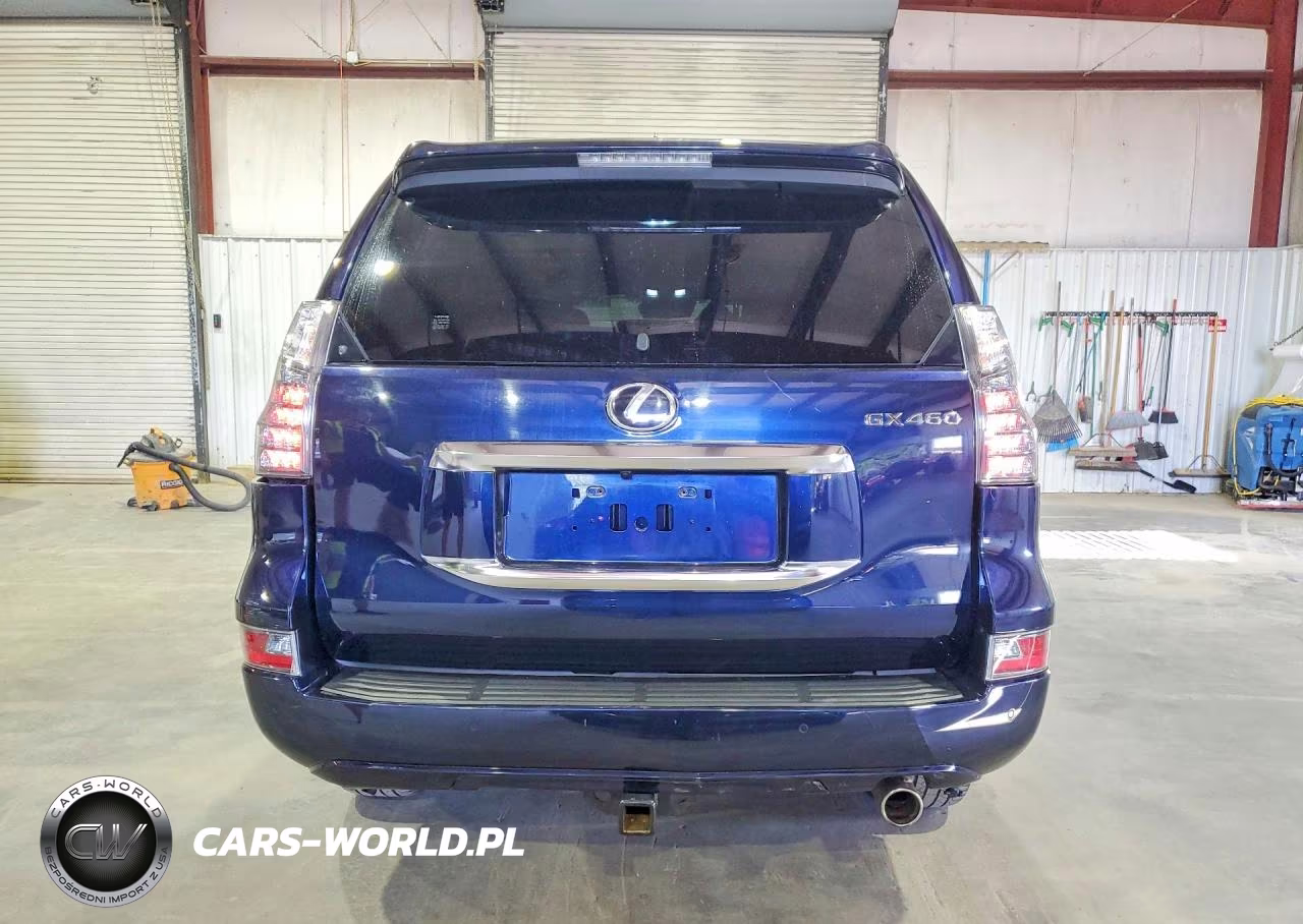 2020 Lexus Gx 460 Premium VIN:JTJAM7BX9L5247954 - 6