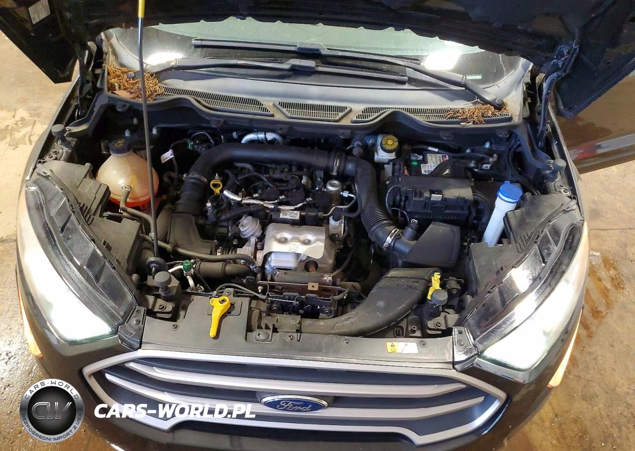2019 Ford Ecosport Se VIN:MAJ3S2GE0KC296374 - 11