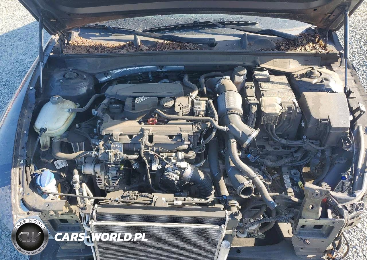 2020 Hyundai Sonata Limited VIN:5NPEH4J23LH020045 - 11