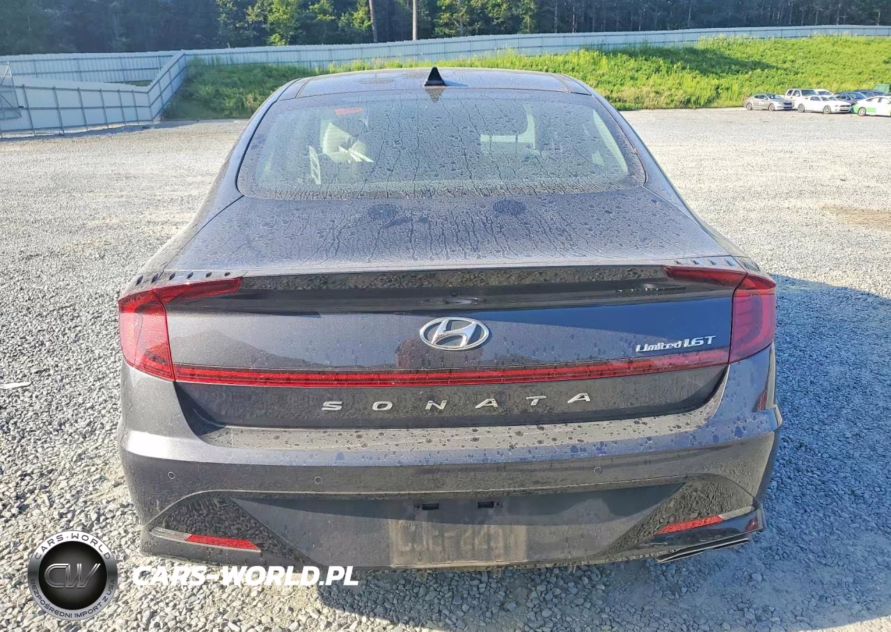 2020 Hyundai Sonata Limited VIN:5NPEH4J23LH020045 - 6