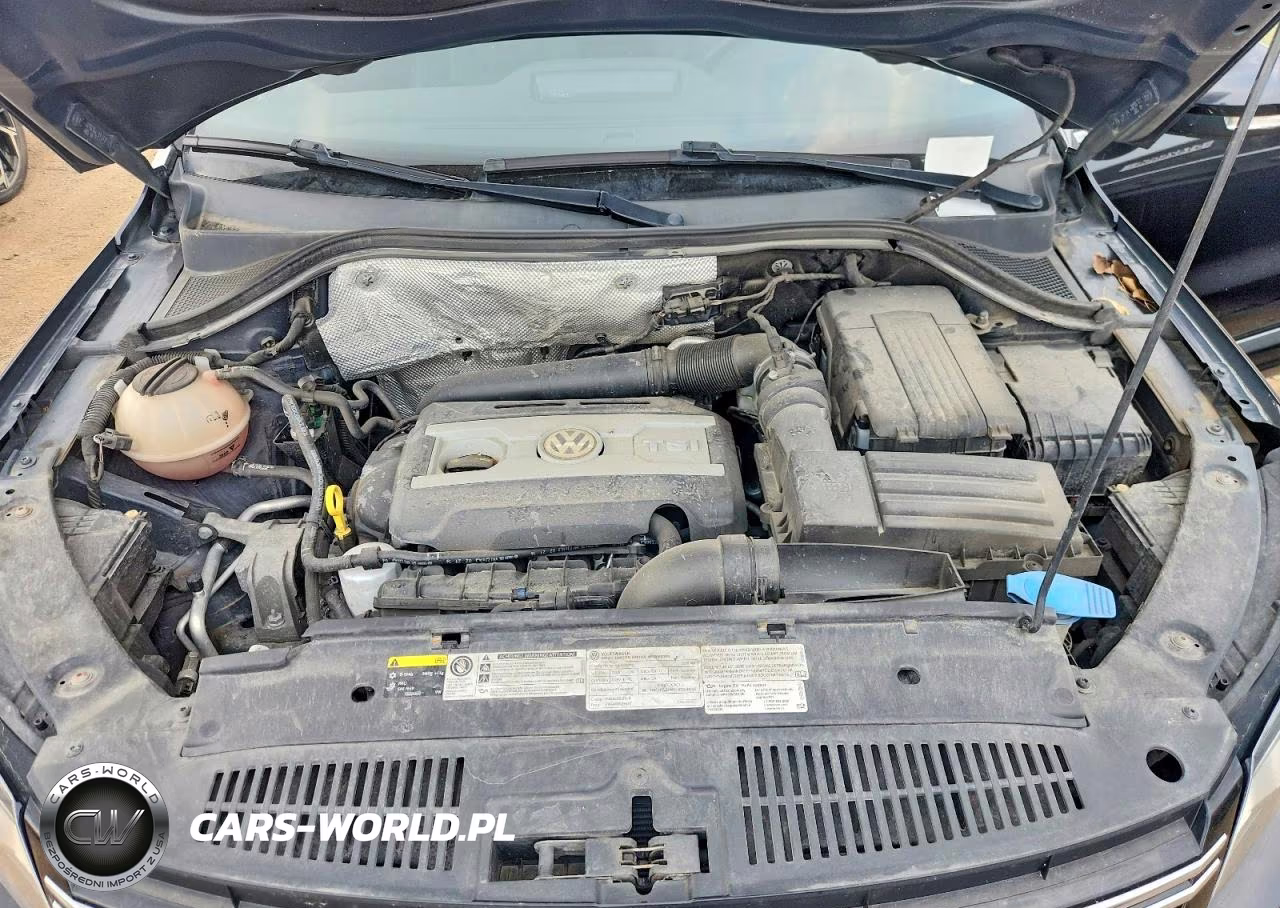 2015 Volkswagen Tiguan S VIN:WVGBV7AX8FW009867 - 11