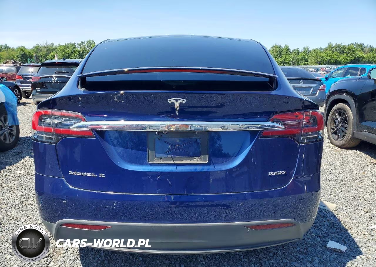2017 Tesla Model X 100D-75D-90D VIN:5YJXCBE24HF054703 - 6