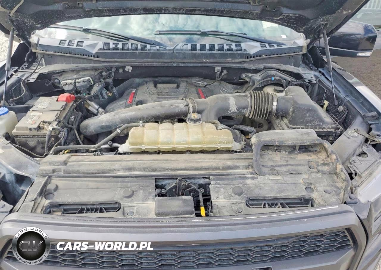 2019 Ford F150 Raptor VIN:1FTFW1RG1KFC04594 - 11