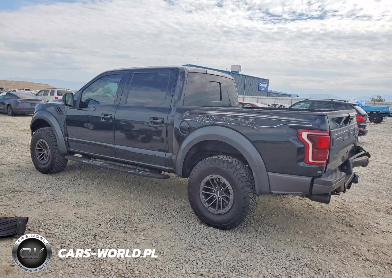 2019 Ford F150 Raptor VIN:1FTFW1RG1KFC04594 - 2