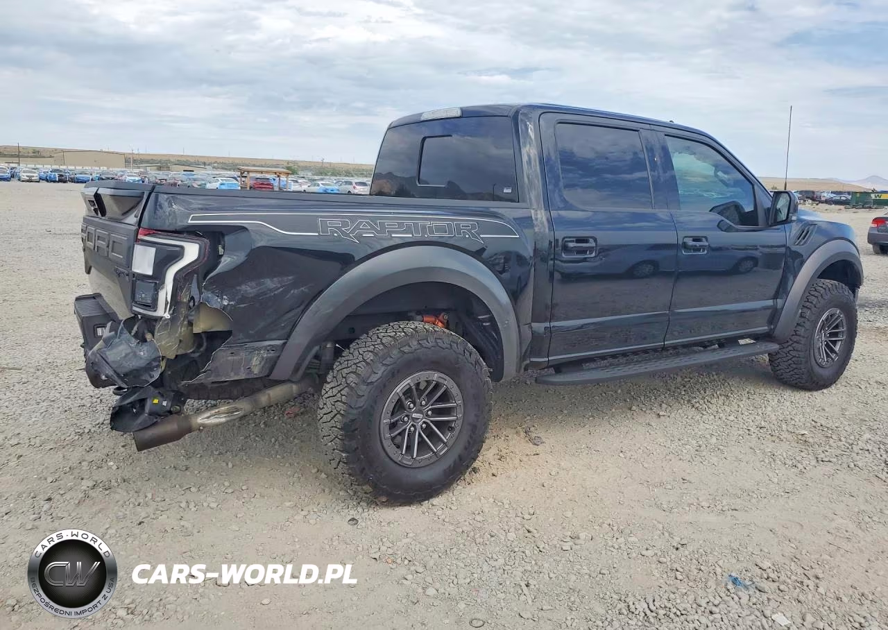 2019 Ford F150 Raptor VIN:1FTFW1RG1KFC04594 - 3