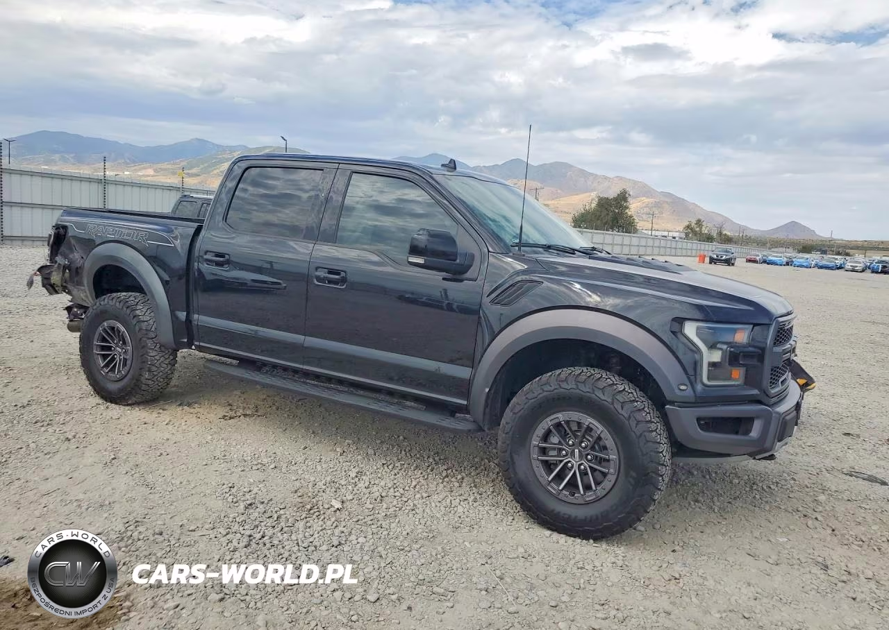 2019 Ford F150 Raptor VIN:1FTFW1RG1KFC04594 - 4