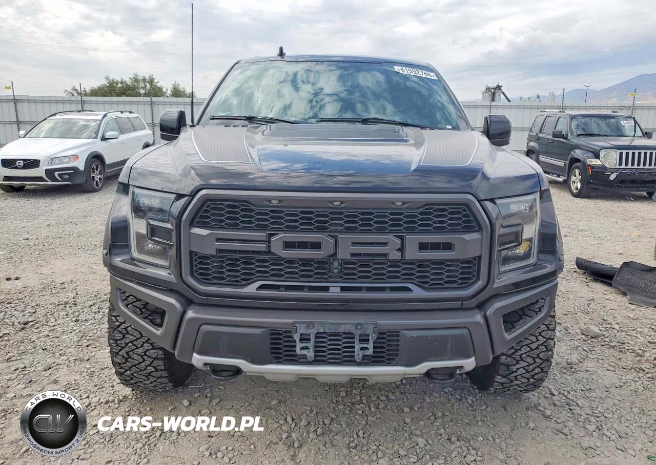 2019 Ford F150 Raptor VIN:1FTFW1RG1KFC04594 - 5