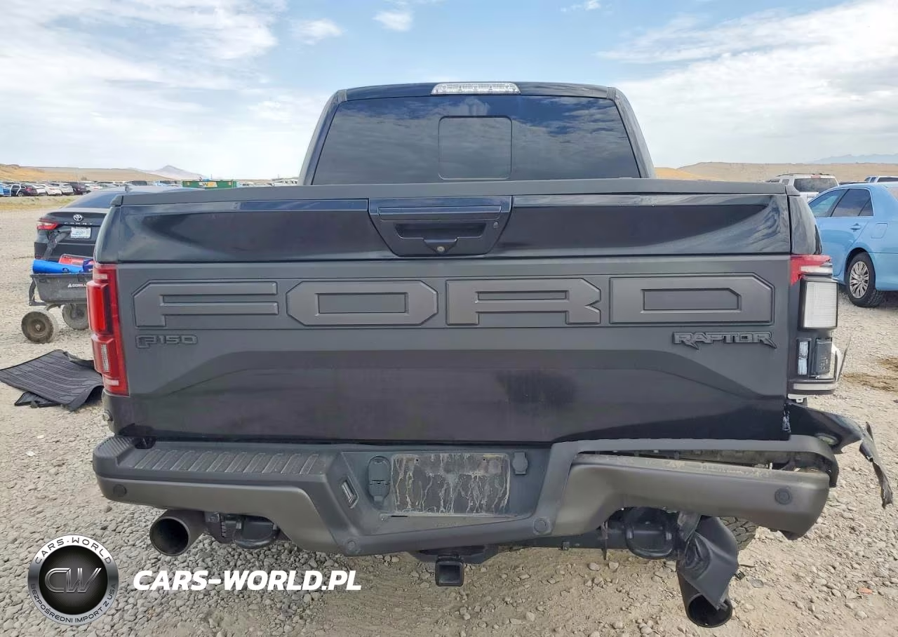 2019 Ford F150 Raptor VIN:1FTFW1RG1KFC04594 - 6