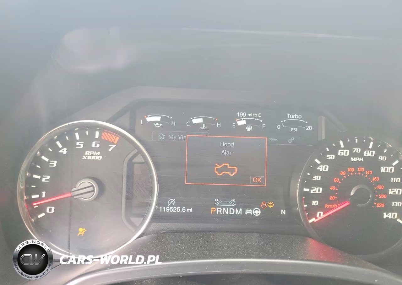 2019 Ford F150 Raptor VIN:1FTFW1RG1KFC04594 - 9