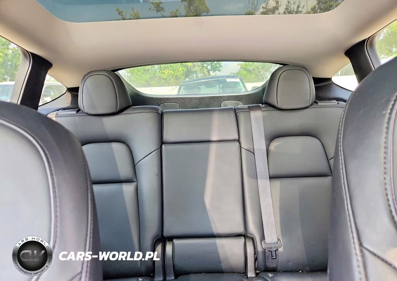 2023 Tesla Model Y VIN:7SAYGDEF5PA049323 - 10