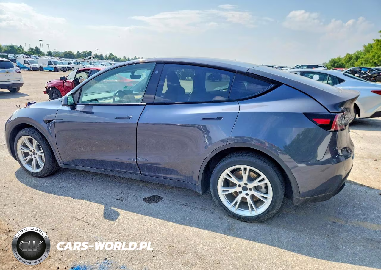 2023 Tesla Model Y VIN:7SAYGDEF5PA049323 - 2
