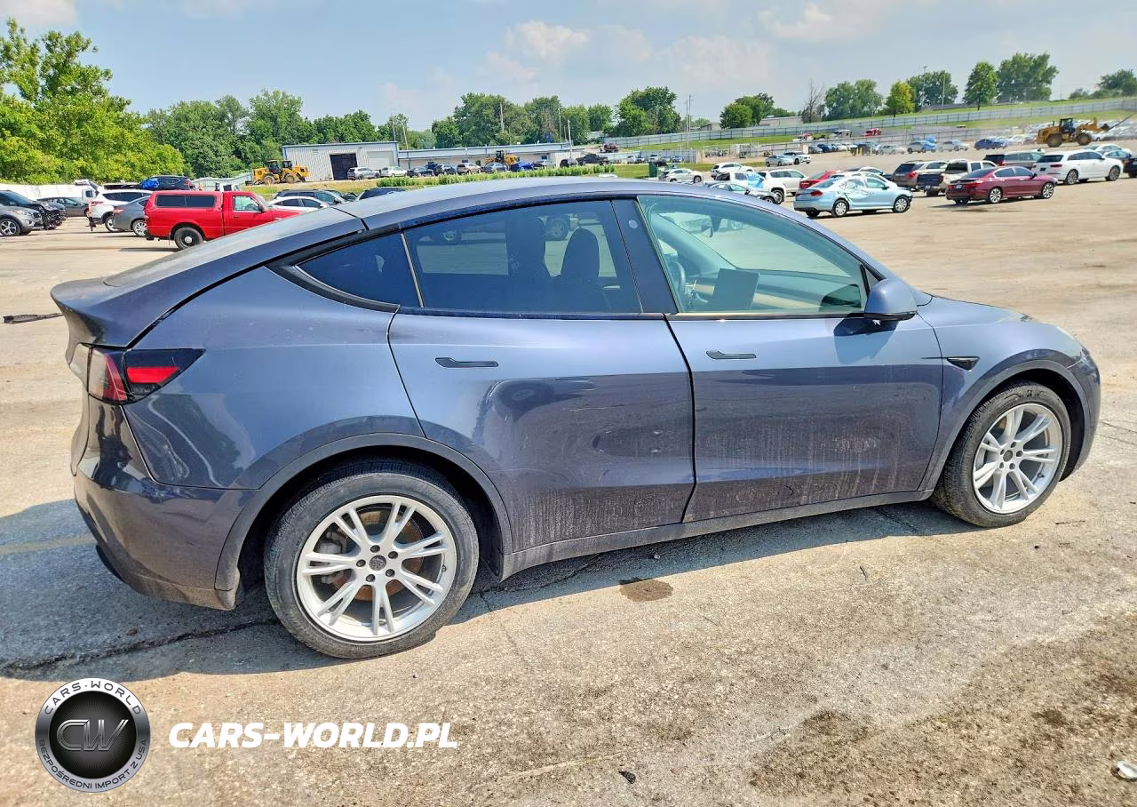2023 Tesla Model Y VIN:7SAYGDEF5PA049323 - 3
