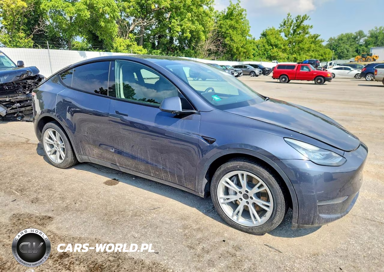 2023 Tesla Model Y VIN:7SAYGDEF5PA049323 - 4