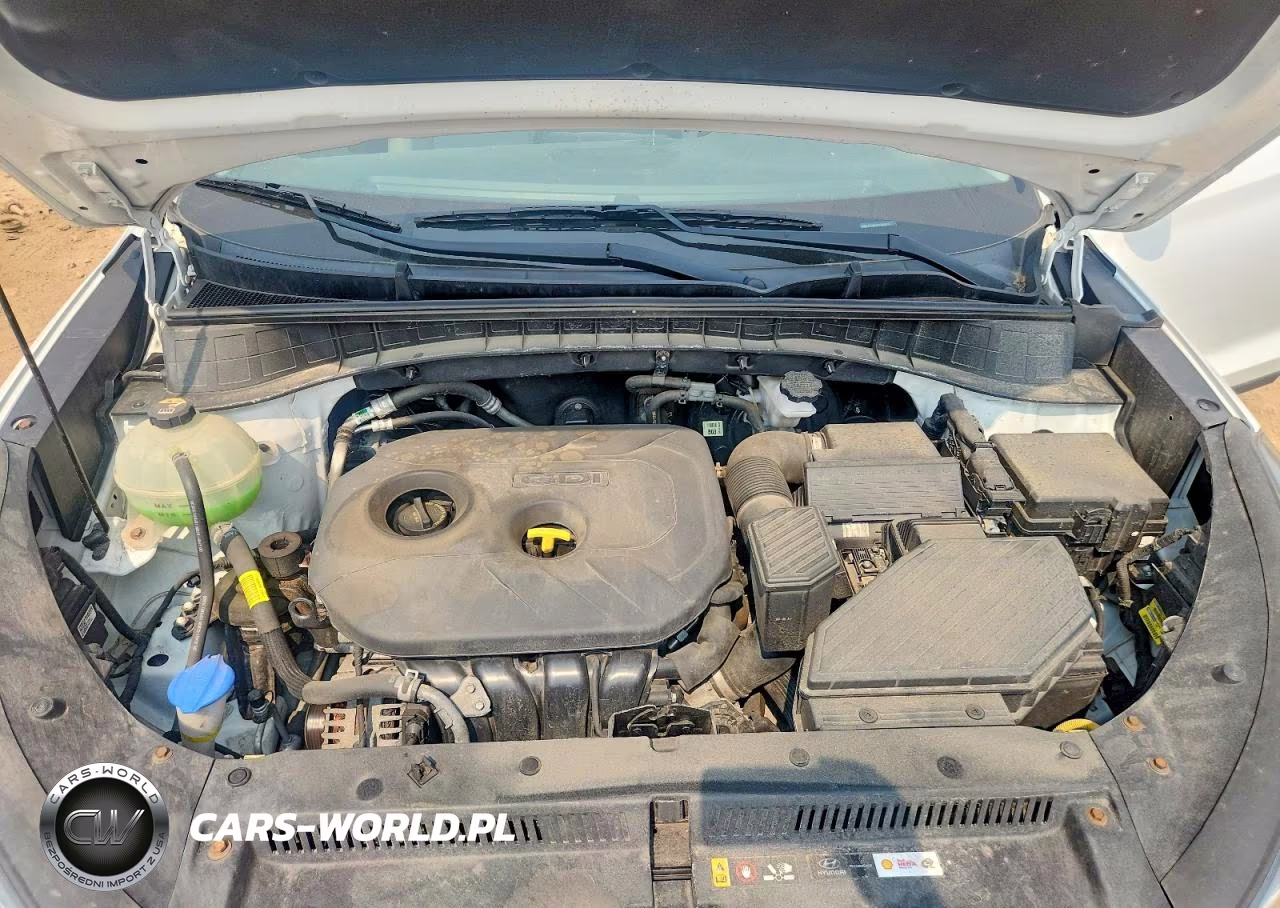 2019 Hyundai Tucson Value VIN:KM8J3CA48KU068231 - 12
