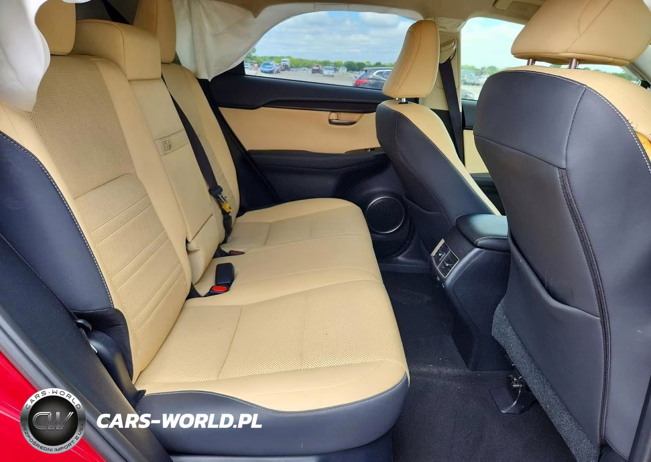 2019 Lexus Nx 300 Base VIN:JTJBARBZ5K2212063 - 11