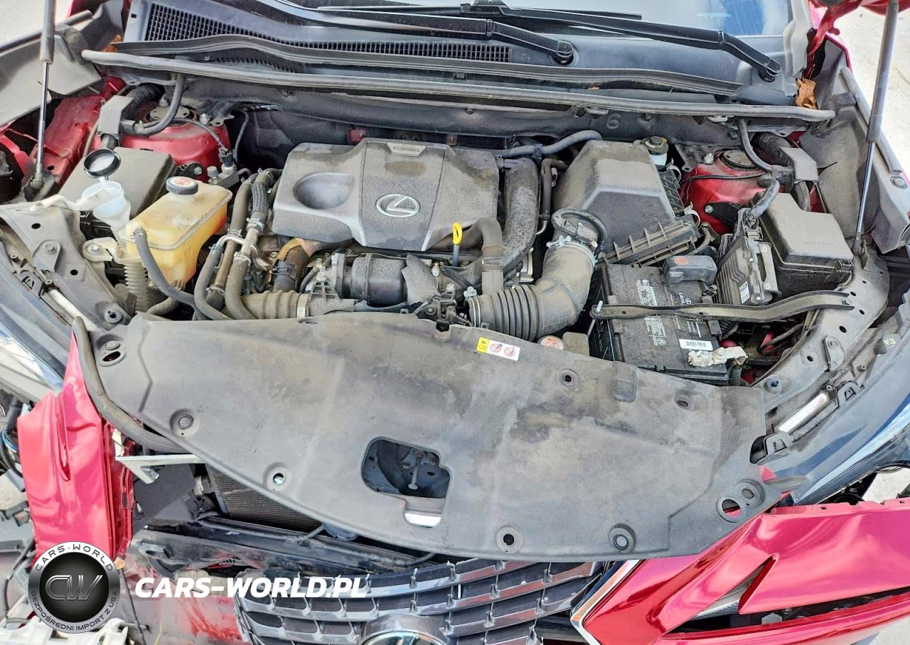 2019 Lexus Nx 300 Base VIN:JTJBARBZ5K2212063 - 12