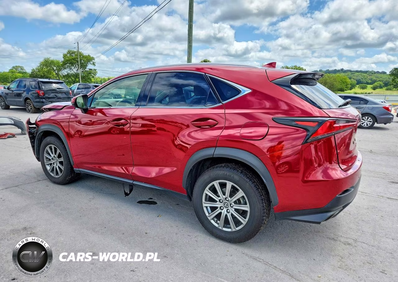 2019 Lexus Nx 300 Base VIN:JTJBARBZ5K2212063 - 2