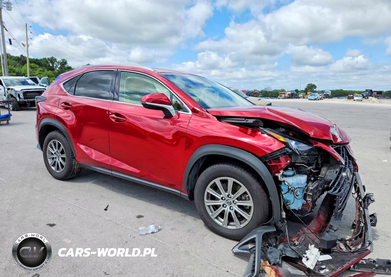 2019 Lexus Nx 300 Base VIN:JTJBARBZ5K2212063 - 4