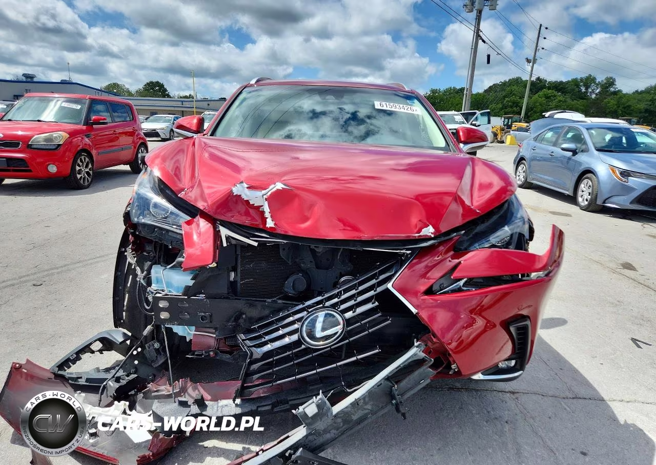 2019 Lexus Nx 300 Base VIN:JTJBARBZ5K2212063 - 5