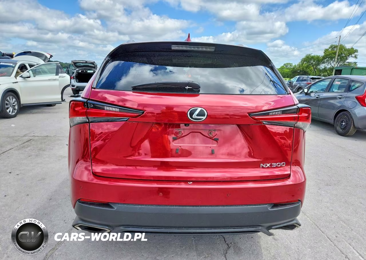 2019 Lexus Nx 300 Base VIN:JTJBARBZ5K2212063 - 6