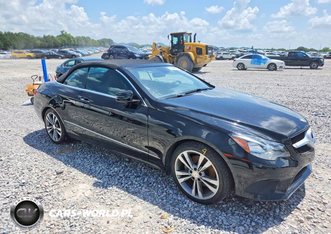 2016 Mercedes-Benz E 400 VIN:WDDKK6FF8GF332489 - 4