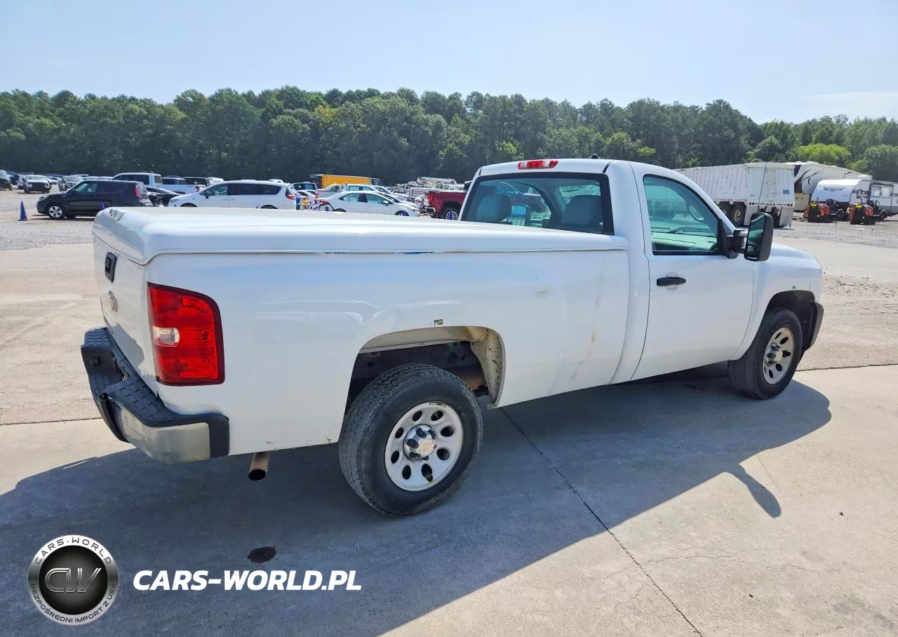 2013 Chevrolet Silverado C1500 VIN:1GCNCPEX7DZ900228 - 3