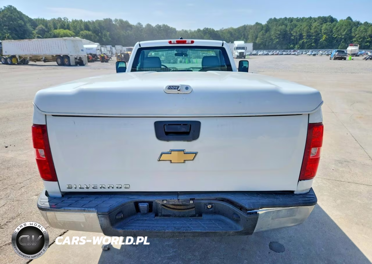 2013 Chevrolet Silverado C1500 VIN:1GCNCPEX7DZ900228 - 6