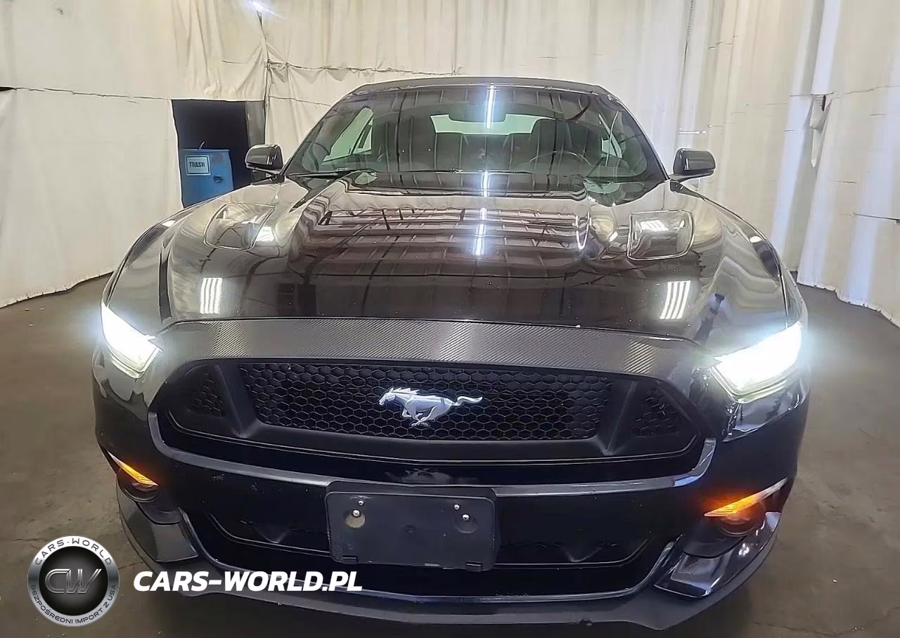 2017 Ford Mustang Gt VIN:1FATP8FF5H5247912 - 14