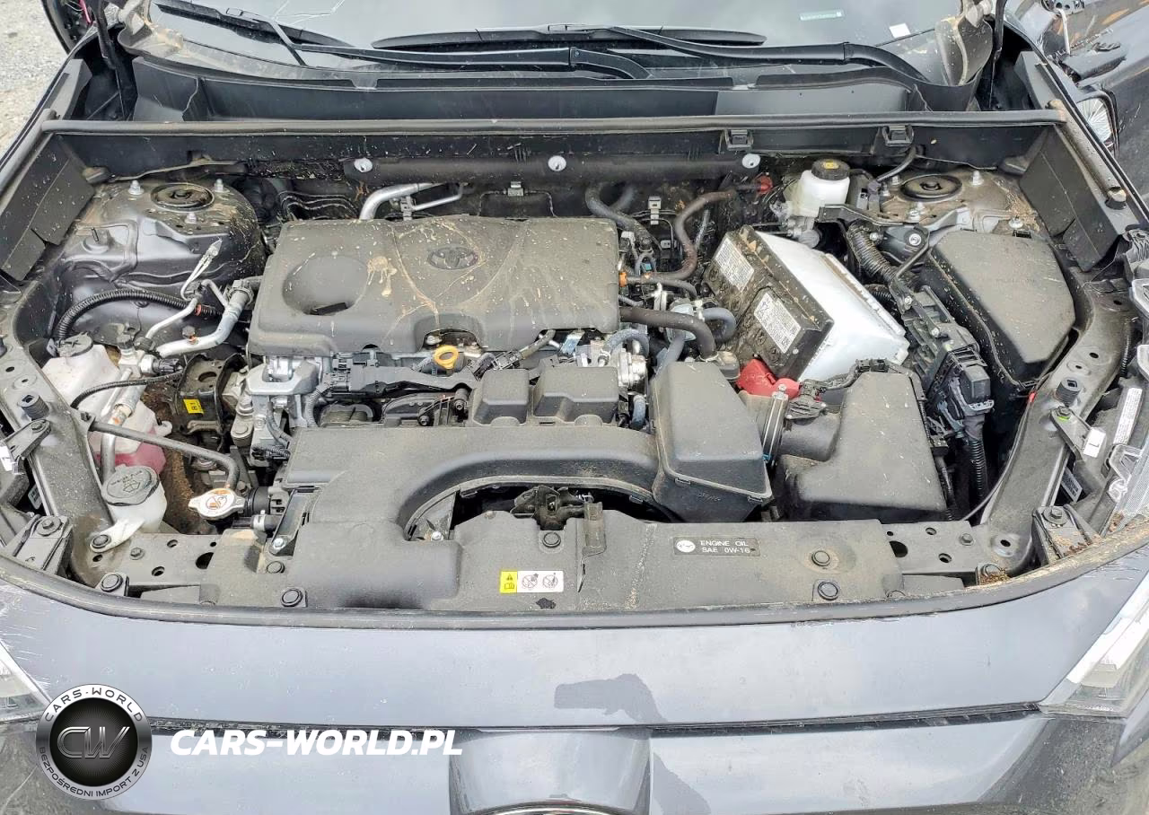 2025 Toyota Rav4 Xle Premium VIN:2T3A1RFV7SW592844 - 12