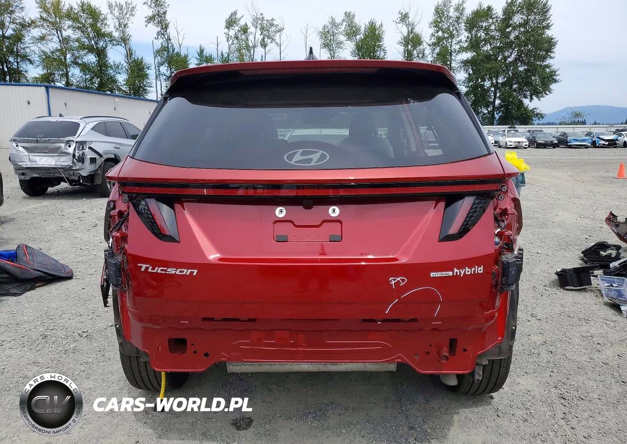 2025 Hyundai Tucson Limited VIN:KM8JEDD16SU294494 - 6