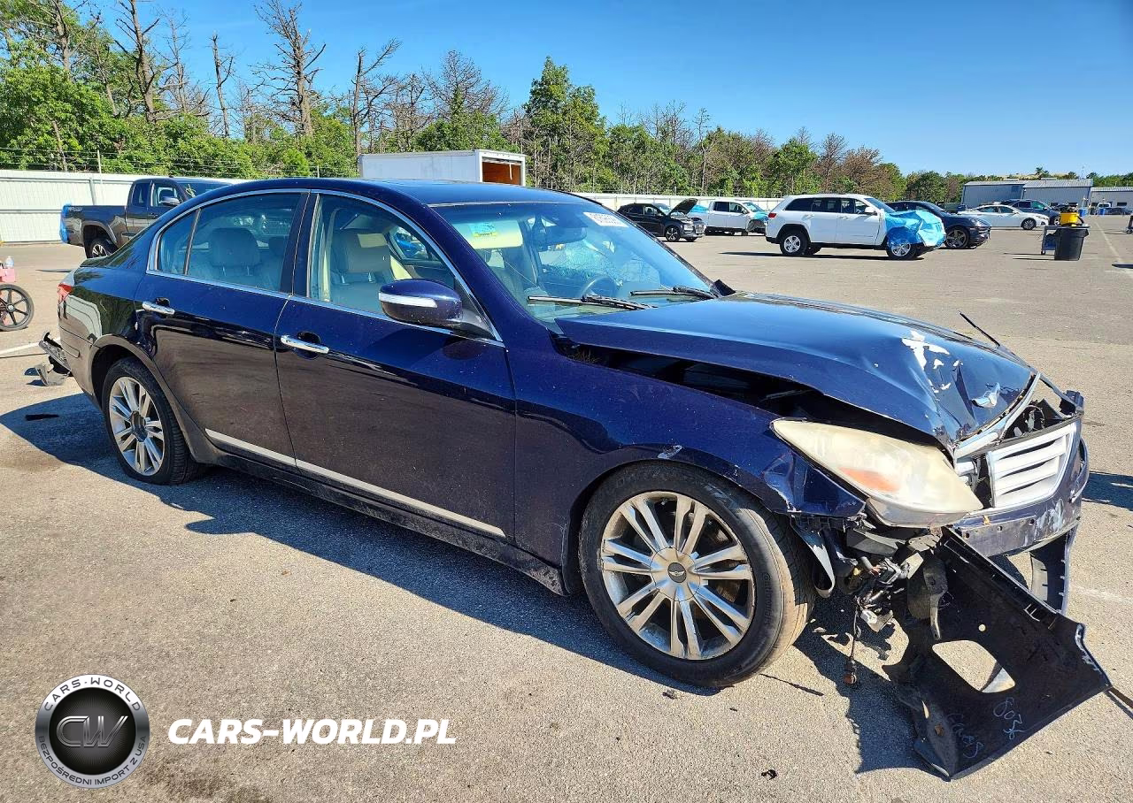 2010 Hyundai Genesis 4.6L VIN:KMHGC4DF9AU111048 - 4