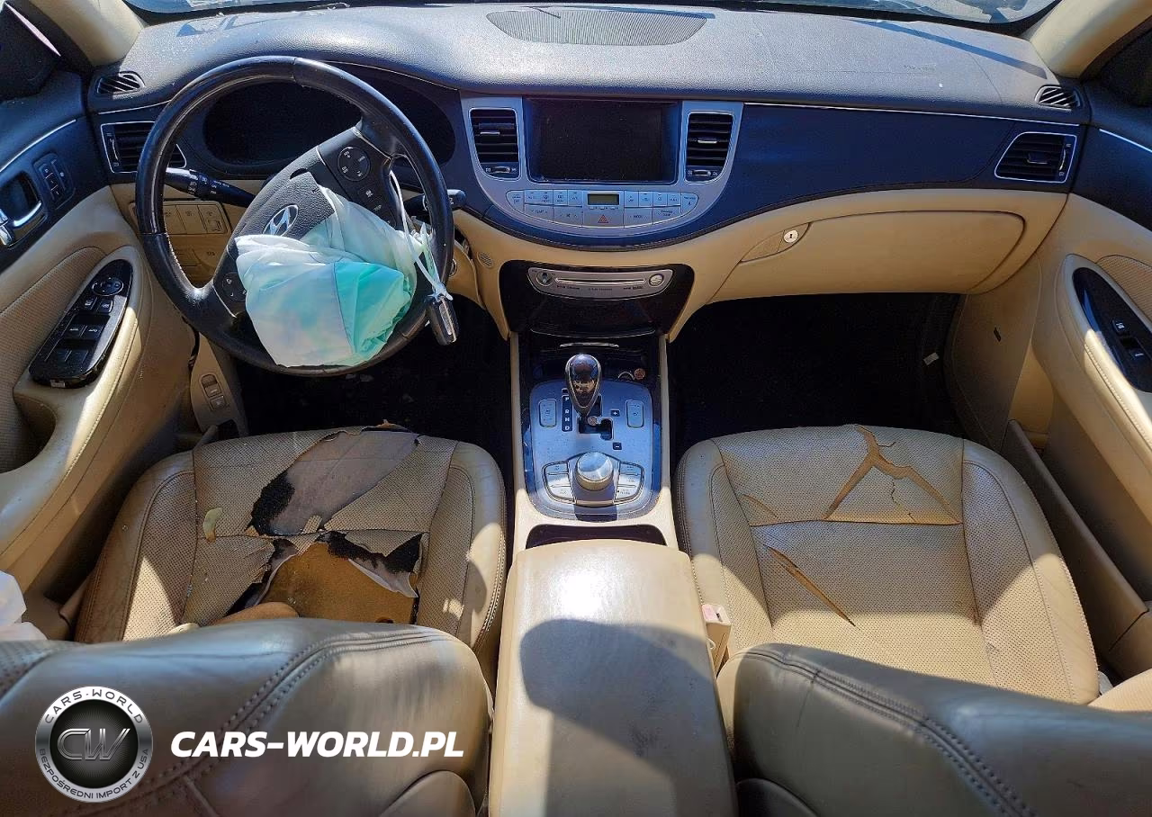 2010 Hyundai Genesis 4.6L VIN:KMHGC4DF9AU111048 - 8