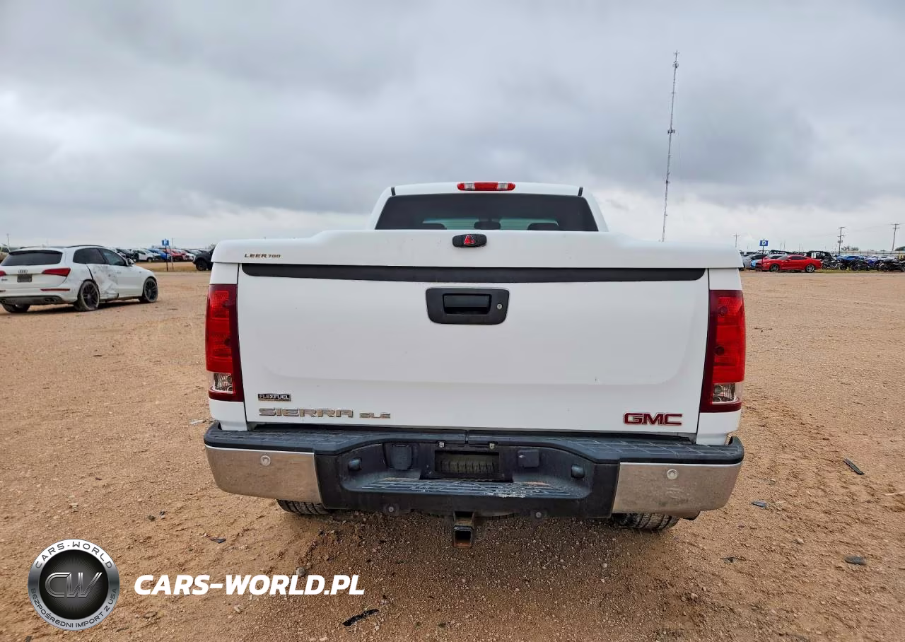 2009 GMC Sierra K1500 Sle VIN:1GTEK290X9Z213271 - 6
