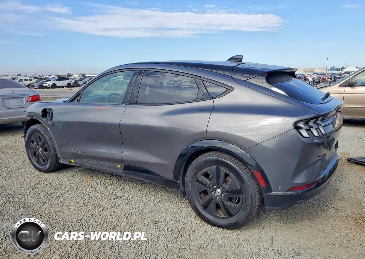 2021 Ford Mustang Mach-E California Route 1 VIN:3FMTK2R75MMA10394 - 2