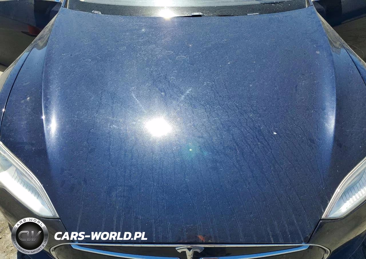 2013 Tesla Model S VIN:5YJSA1CP4DFP25743 - 11