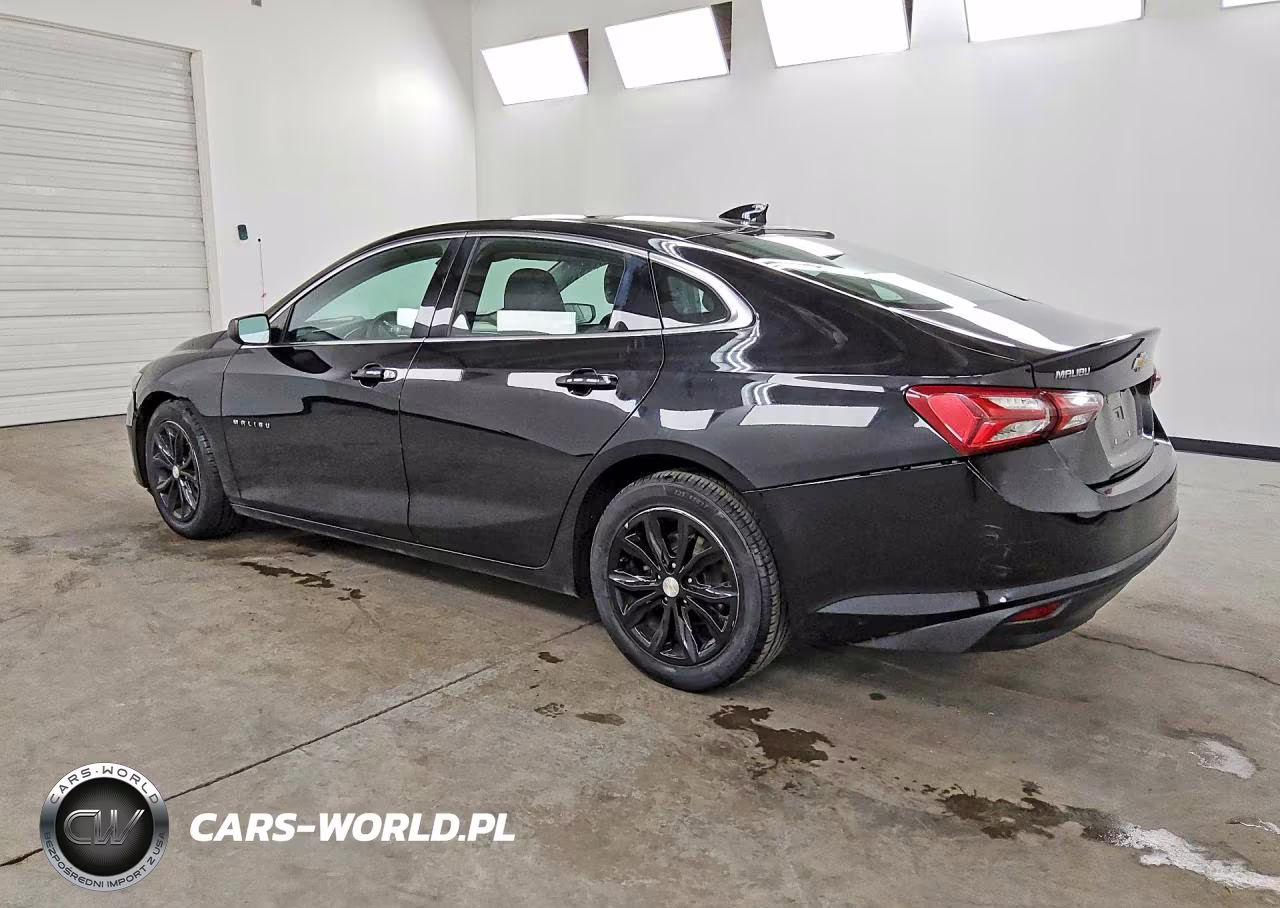 2019 Chevrolet Malibu Lt VIN:1G1ZD5ST3KF141458 - 2