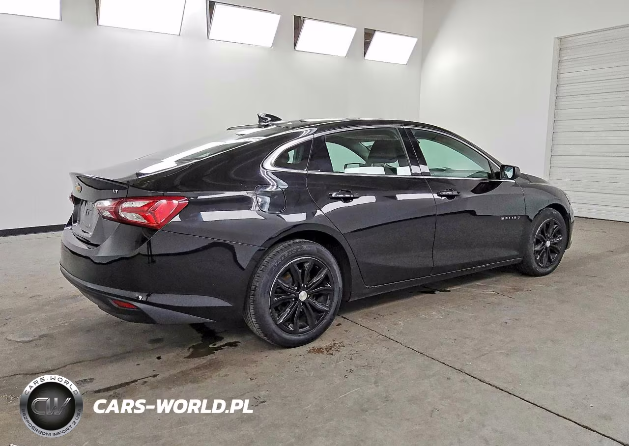 2019 Chevrolet Malibu Lt VIN:1G1ZD5ST3KF141458 - 3