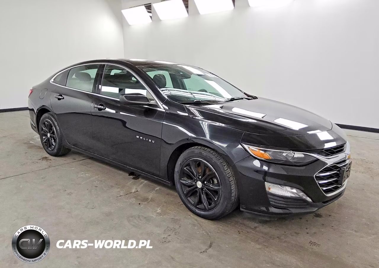 2019 Chevrolet Malibu Lt VIN:1G1ZD5ST3KF141458 - 4