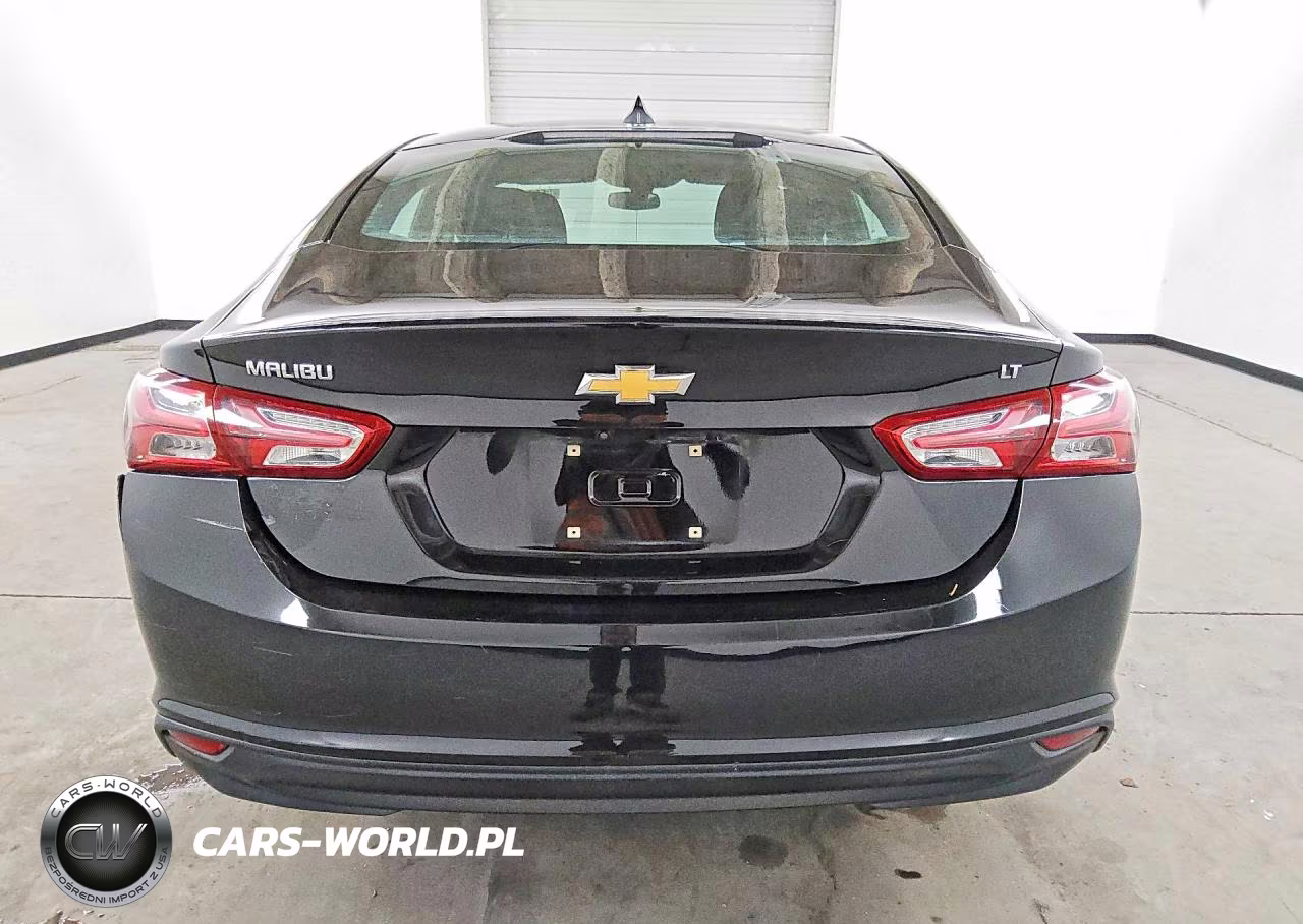 2019 Chevrolet Malibu Lt VIN:1G1ZD5ST3KF141458 - 6