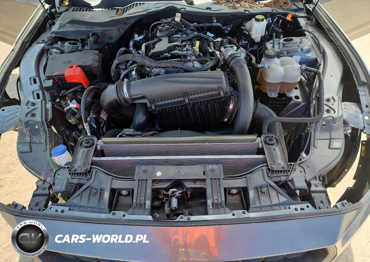 2024 Ford Mustang VIN:1FA6P8TH1R5121664 - 11